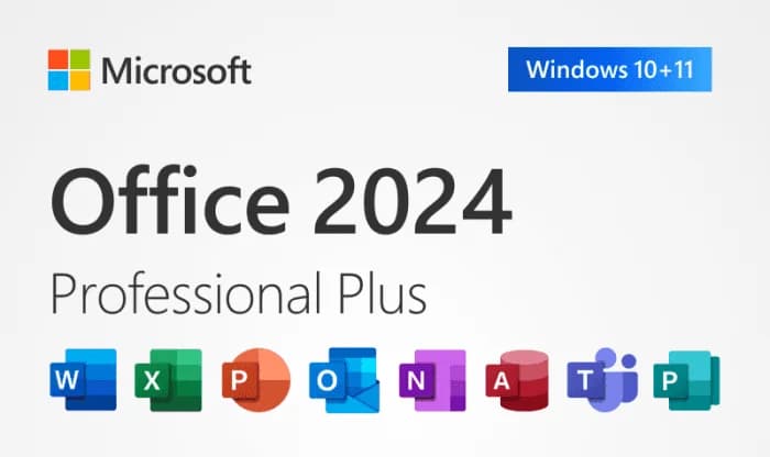 Microsoft Office 2021-2024 Professional Plus 1